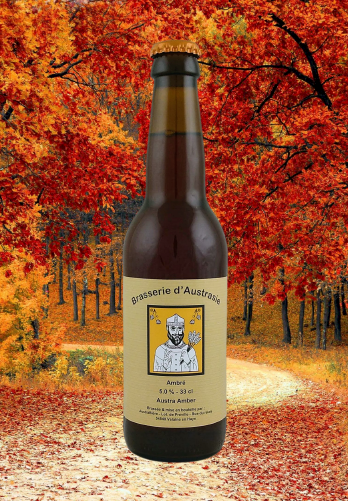 ambrée 33cl